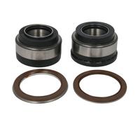 Juego de cojinetes de rueda SKF VKBA 5424