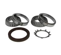 Juego de cojinetes de rueda SKF VKBA 6700