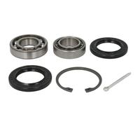 Juego de cojinetes de rueda SKF VKBA 910