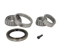 Juego de cojinetes de rueda SNR R141.13