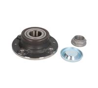 Juego de cojinetes de rueda SNR R166.31