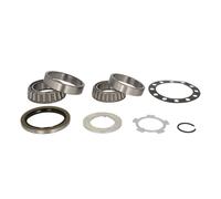 Juego de cojinetes de rueda SNR R169.33