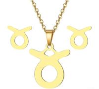 Juego de collar de acero inoxidable para mujer con 12 colgantes de constelación del zodiaco y cómoda cadena tórica y diseño elegante (D)