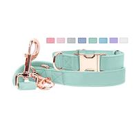 Juego de Collar y Correa de Cuero Suave para Perro (6.6 pies) - Elegante Hebilla de Metal Resistente de Oro Rosa, Correa de 4 Longitudes Ajustables para Perros pequeños, medianos y Grandes, cómodo y