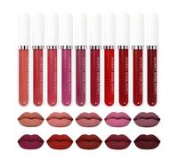 Juego de colores de labios mate resistente agua, de eliminación rápida para entusiastas del maquillaje en todas partes, tonos variados diarios