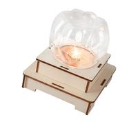 Juego de construcción de luz nocturna de calabaza de madera educativa con disyuntor LED e instrucciones para niños, estudiantes, noche de verduras de madera