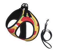 Juego de correa de arnés con estampado amarillo y sandías para gatos y perros pequeños, chaleco ajustable, reflectante y a prueba de fugas con forro de malla suave y transpirable