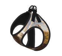 Juego de correa de arnés con estampado de cabra para gato y perro, chaleco reflectante ajustable a prueba de escape con malla suave transpirable, para mascotas pequeñas y cachorros gatitos