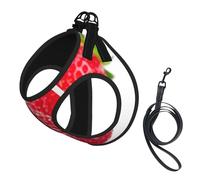 Juego de correa de arnés con estampado de fresa para gato y perro, chaleco reflectante ajustable a prueba de fugas con malla suave transpirable, para mascotas pequeñas y cachorros gatitos