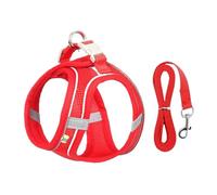 Juego de correa de arnés para perros pequeños, chaleco ajustable para cachorros, gatos, bulldog francés, chihuahua, pug, correa para caminar al aire libre (rojo, L 8-12 kg)