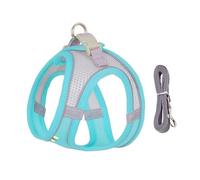 Juego de correa de arnés para perros pequeños, chaleco ajustable para cachorros, gatos, bulldog francés, chihuahua, pug, correa para caminar al aire libre (azul verde, XS 2,5-4 kg)