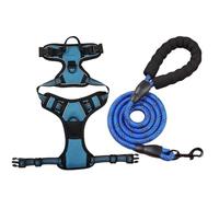 Juego de correa para el pecho para mascotas, correa retráctil de nailon grande para perro, correa de pecho segura y cómoda para pasear perros, varios tamaños y colores son opcionales.