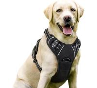 Juego de correa para el pecho para mascotas, correa retráctil de nailon grande para perro, correa de pecho segura y cómoda para pasear perros, varios tamaños y colores son opcionales.