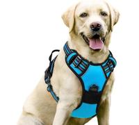 Juego de correa para el pecho para mascotas, correa retráctil de nailon grande para perro, correa de pecho segura y cómoda para pasear perros, varios tamaños y colores son opcionales.