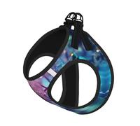 Juego de correa reflectante ajustable con estampado de tabla periódica química para gatos, perros y mascotas pequeñas, chaleco de malla transpirable suave con correa a prueba de fugas