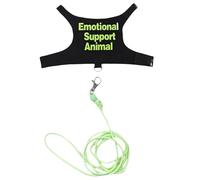 Juego de correas de seguridad para mascotas con cuerda de control, arnés para mascotas al aire libre para diversión al aire libre, arneses regulables para mascotas