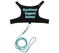 Juego de correas de seguridad para mascotas con cuerda de control, arnés para mascotas al aire libre para diversión al aire libre, arneses regulables para mascotas