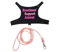 Juego de correas de seguridad para mascotas con cuerda de control, arnés para mascotas al aire libre para diversión al aire libre, arneses regulables para mascotas