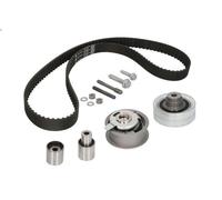 Juego de correas dentadas INA 530 0082 10 para SEAT INCA (6K9) 1.9 1996-2003