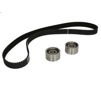 Juego de correas dentadas INA 530 0117 10 para ARGENTA (132_) 2.5 1981-1985