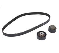 Juego de correas dentadas INA 530 0160 10 para 100 C4 Avant (4A5) 2.5 1990-1994