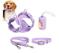 Juego de correas para perros, arnés para perros, arnés para perros, sin tirar, hebillas, cachorros, portabotelas, perro pequeño No es un arnés de remolque de tamaño mediano y juego de correa para