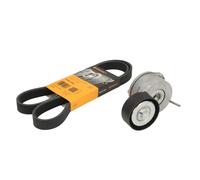 Juego de correas poly V CONTINENTAL 6PK1244K1