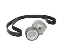 Juego de correas poly V DAYCO KPV041HD