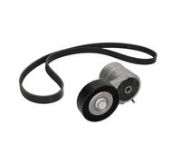 Juego de correas poly V INA 529 0008 10