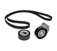 Juego de correas poly V INA 529 0017 10