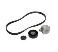 Kit de correa trapezoidal acanalada 529 0102 10 INA para VW SEAT FORD