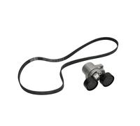 Juego de correas poly V INA 529 0206 10