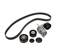 Juego de correas poly V INA 529 0211 10