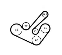 Juego de correas trapeciales poli V CONTITECH 6PK1555K9