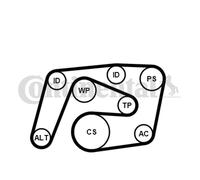 Juego de correas trapeciales poli V CONTITECH 6PK2260K1