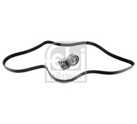 FEBI BILSTEIN Juego de correas auxiliares servicios (Ref: 30208)