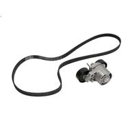 Juego de correas trapeciales poli V INA 529 0206 1 para BMW 3 (E90) 2 2004-2011