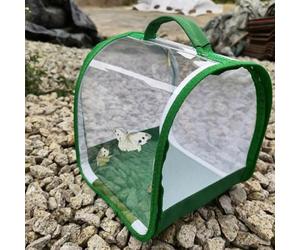 Juego de cría de mariposas para niños/adultos | Mariposa doméstica | Insecto y Mariposa Hábitat Jaula Protección Terrario | Cría de orugas pequeñas a partir de 3 años, verde