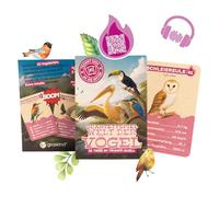 Juego de cuarteto Mundo de los Pájaros - El juego de cartas con 32 especies de aves en el duelo de triunfo | Niños y familia | Con códigos QR y contenido de audio | Sostenible en papel de hierba