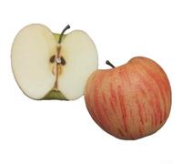 Juego de cuatro modelos de media fruta con parte trasera magnética para refrigerador y decoración de cocina, hechos de material de poliuretano suave que ofrece un aspecto realista y una sensación de