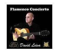 Juego de cuerdas Guitarra Flamenca Gato Negro David Leiva Concierto. Fabricadas en nylon y bajos entorchados de acero plateado alta