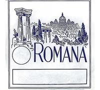 Juego de cuerdas para cítara Romana Chord de 25 cuerdas