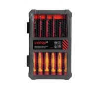 Juego de destornilladores dieléctricos Dnipro-M para trabajos de precisión S2 (6 uds.)