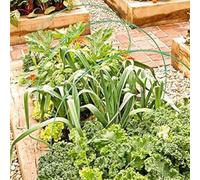 Juego de estacas de fibra de vidrio para invernadero para protección de plantas, lo que permite el montaje de túneles personalizados y cubiertas seguras para mantener condiciones de crecimiento