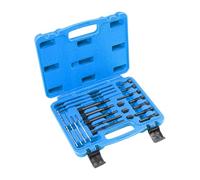 Juego de extracción de componentes del calentador de bujías, herramienta de reparación de automóviles, kits de herramientas de extracción dañadas, rotura de electrodos, extractor de componentes del
