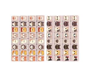 Juego de Fichas de Mah Jong,Juguete Clásico de Mahjong,Fichas Y Bloques De Juego con Patrón De Bandera | para Hombres Mujeres Niños Familiares Amigos Vacaciones