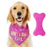 Juego de fiesta de cumpleaños para perro rosa, bufanda, juguete de hueso, bufanda de Navidad, gorro de fiesta