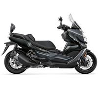 Juego de fijación SHAD respaldo