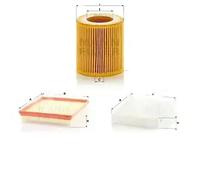 Filtros y aceite > Filtro > Filtro de aire (de coche)