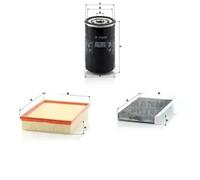 MANN-FILTER Filtro de aire (de coche) para LAND ROVER: Range Rover, Discovery (Ref: C 31 196)